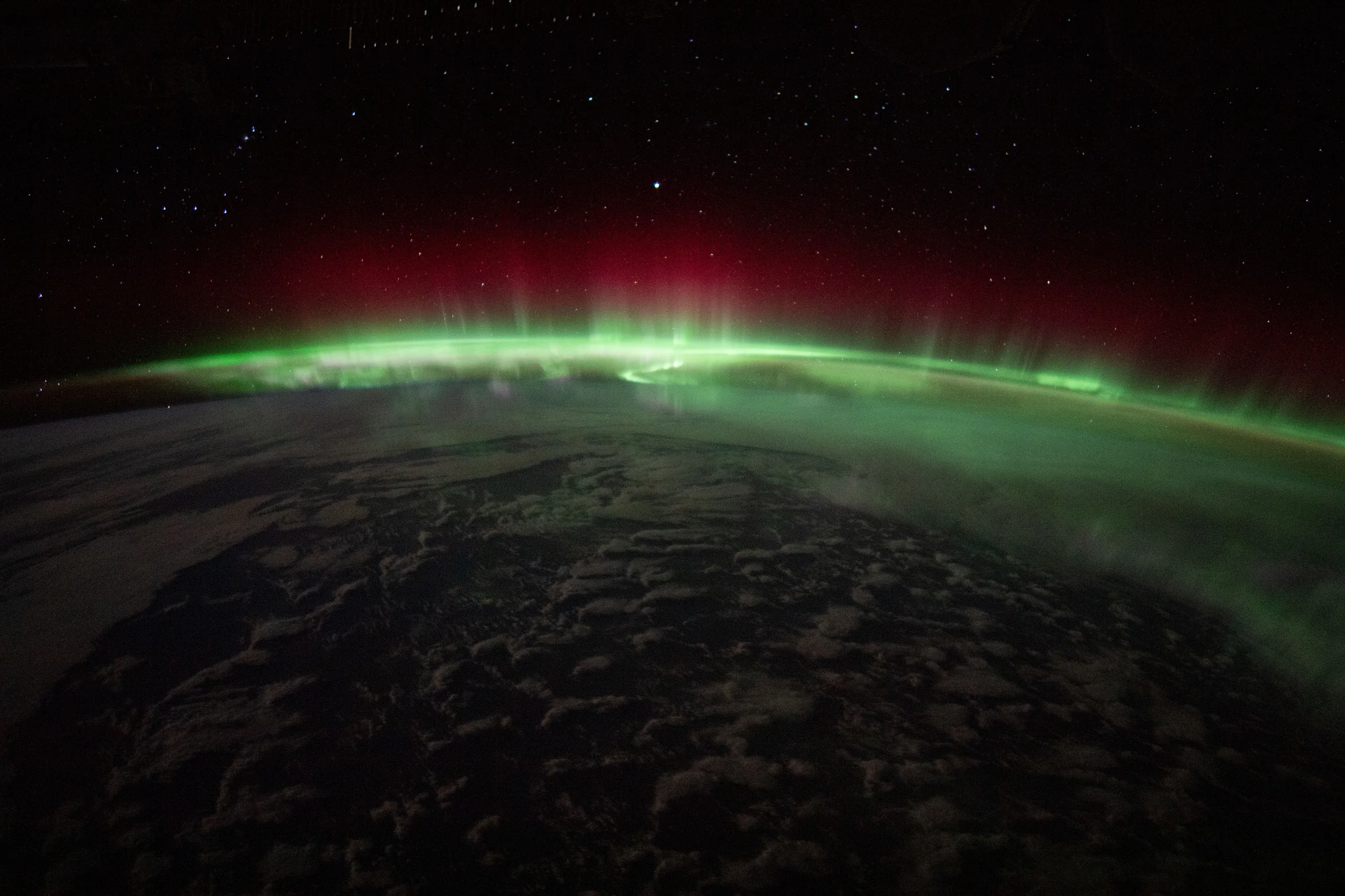 An aurora above Earth's curved horizon beneath a starry sky, photographed from the International Space Station